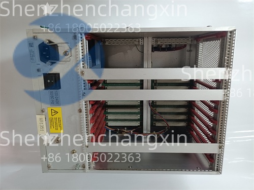 ALSTOM BGTR8HE 24491276A1004 (2)